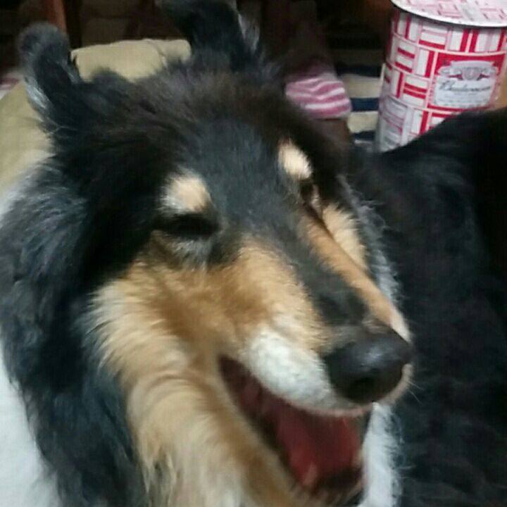 7f17e8f9 6c1c 4229 8366 b37447e2fe2b