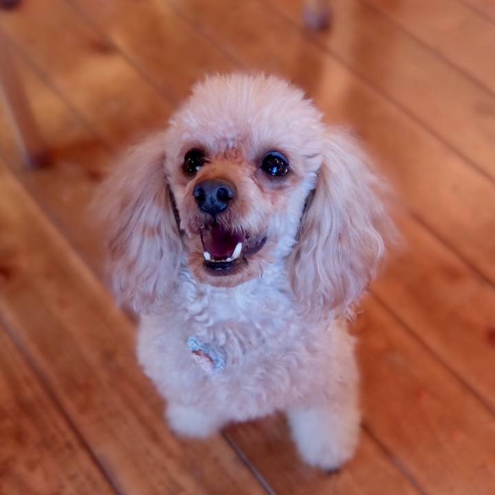 7f17e93d a278 41a5 b795 64fbb95f5229