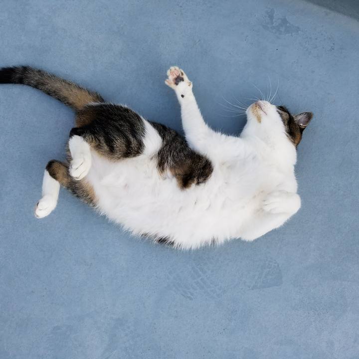 7f183898 31f6 493a b8b3 b5e50e32a6fb