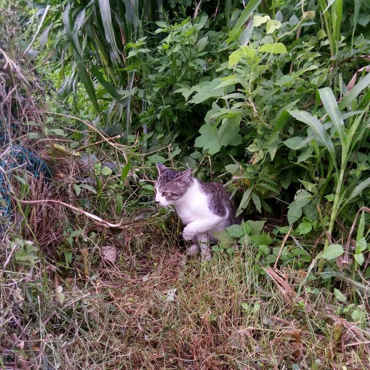 7f18ab32 671d 4834 b084 bf9897d28e66