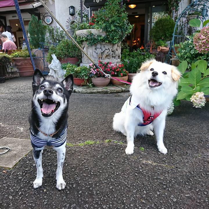 7f18cc9b 169f 482d b592 63c426f389b0