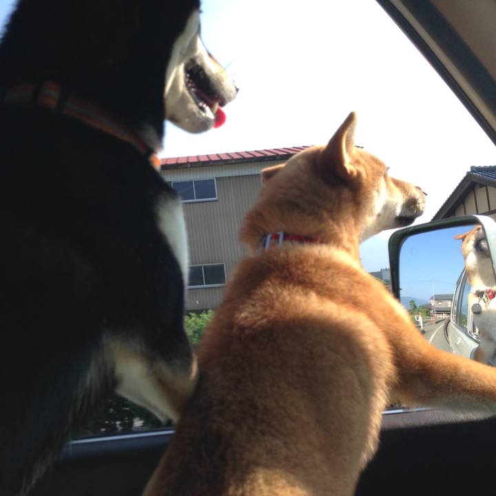 7f190ace c203 4579 b797 0f123e2a9d31