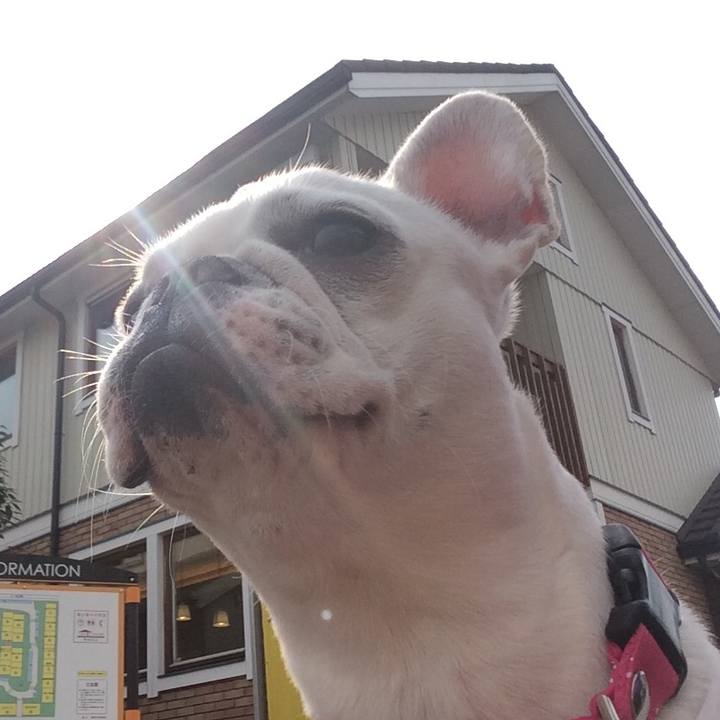 7f1ab17d 40d3 494e a63f fefd30e5690c