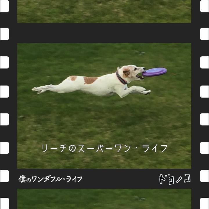 7f1b213c 624a 4289 a201 f3b26ab87d0e