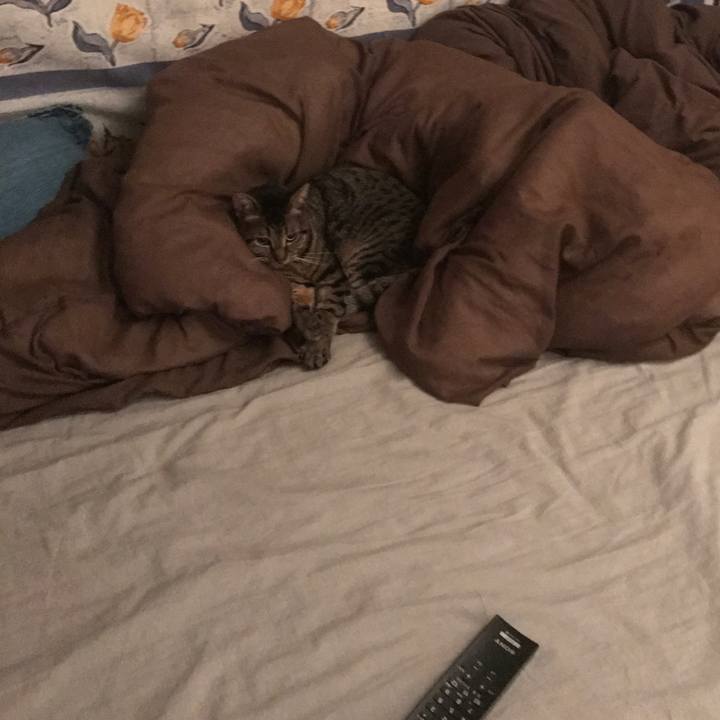 7f1bab7b c7cf 4a25 be86 4b2ceeaa94fc