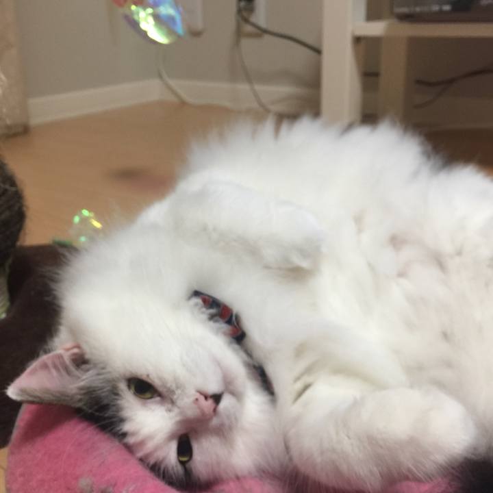 7f1bb68a 0f59 486a 9aa4 41651e299b5e