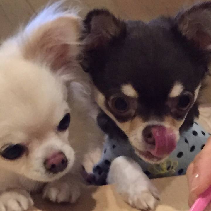 7f1ccf86 8972 4ef5 b8bf 1b1159d48da6