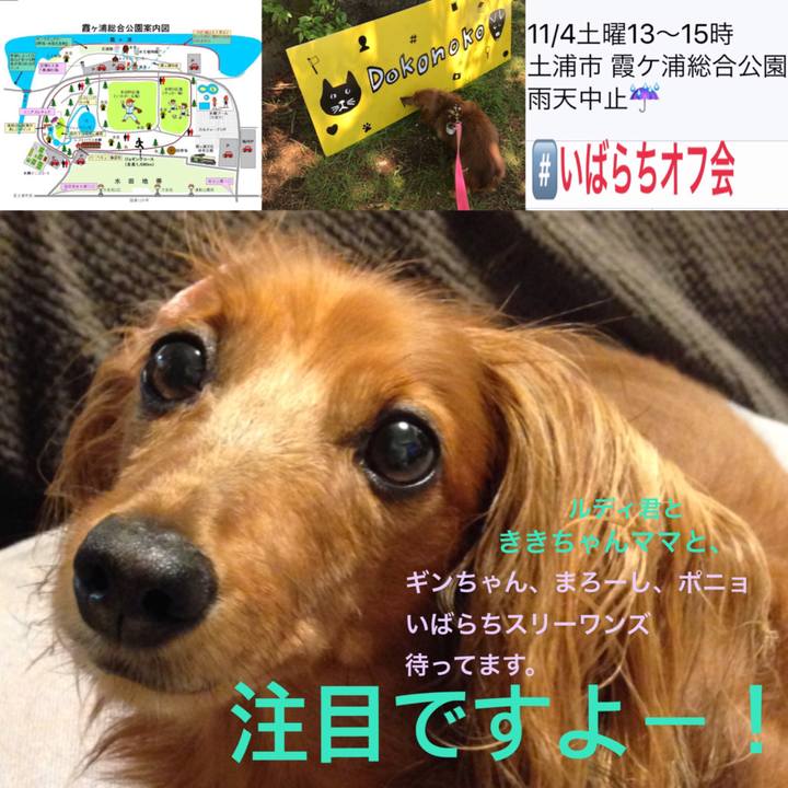 7f1d6e71 cb89 4e88 a2ba 959515a8f2e0