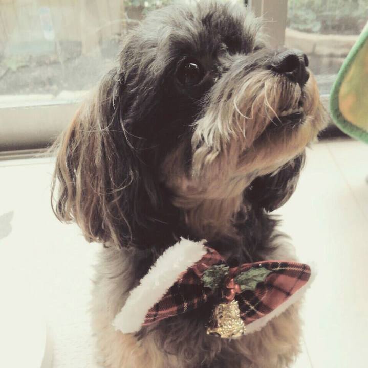 7f1dfaed fe0c 457c 92cb a9d559f06ea7