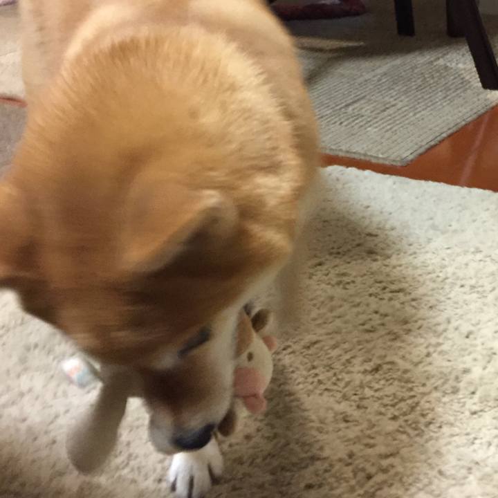 7f1e1a24 d520 4592 a55c ddd095378549