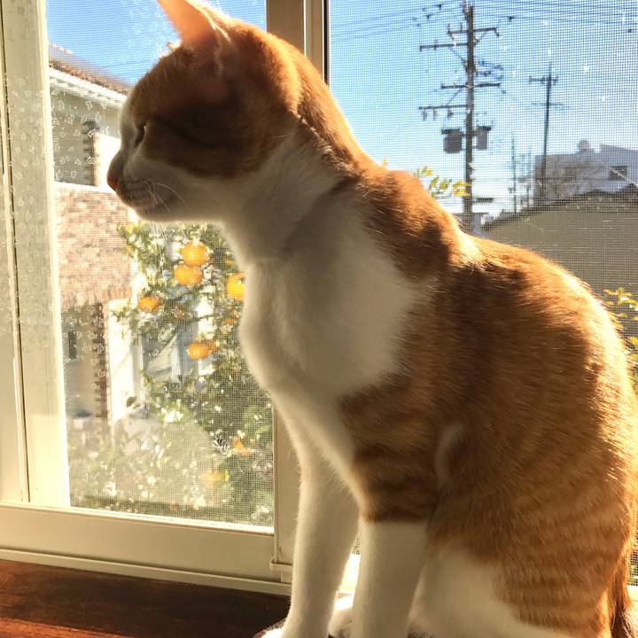 7f1ed35f bc05 42c9 becb c5232df19ac1