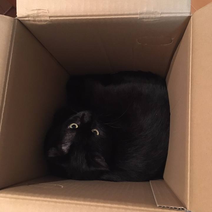 7f1f268c 0be3 4527 9796 6927e1446edc