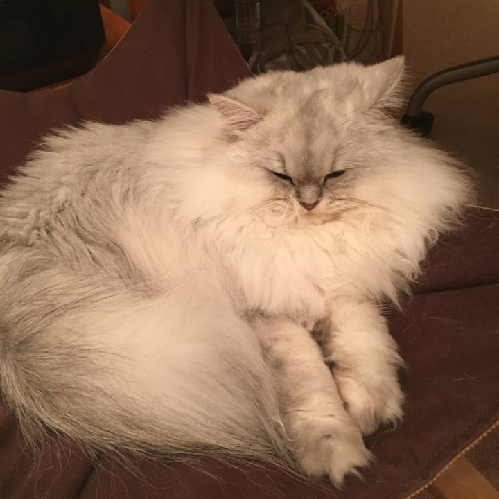 7f1f2e31 e548 45bf 8997 38a188e24ea6