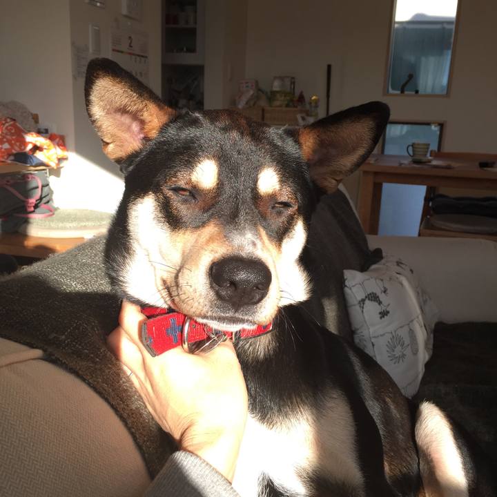 7f1f56e6 d023 4012 969f 4de78de51e0b