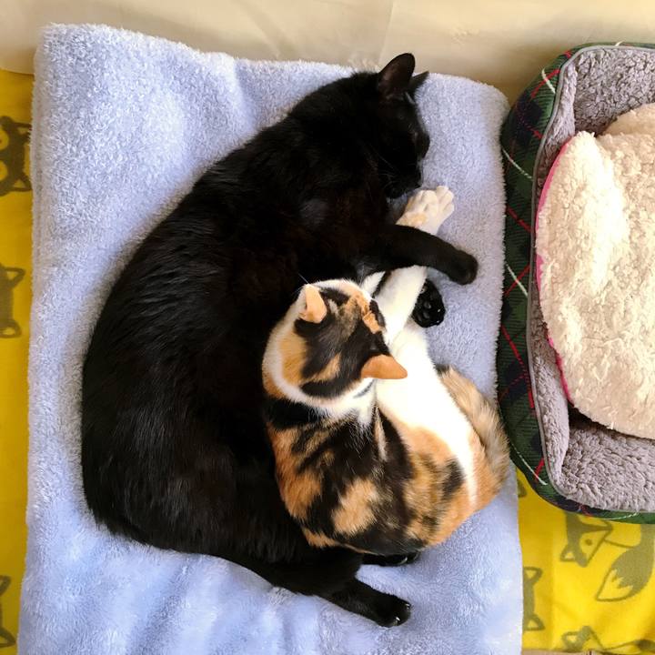 7f1f68a3 2b5d 4578 b836 c5afd162aa33