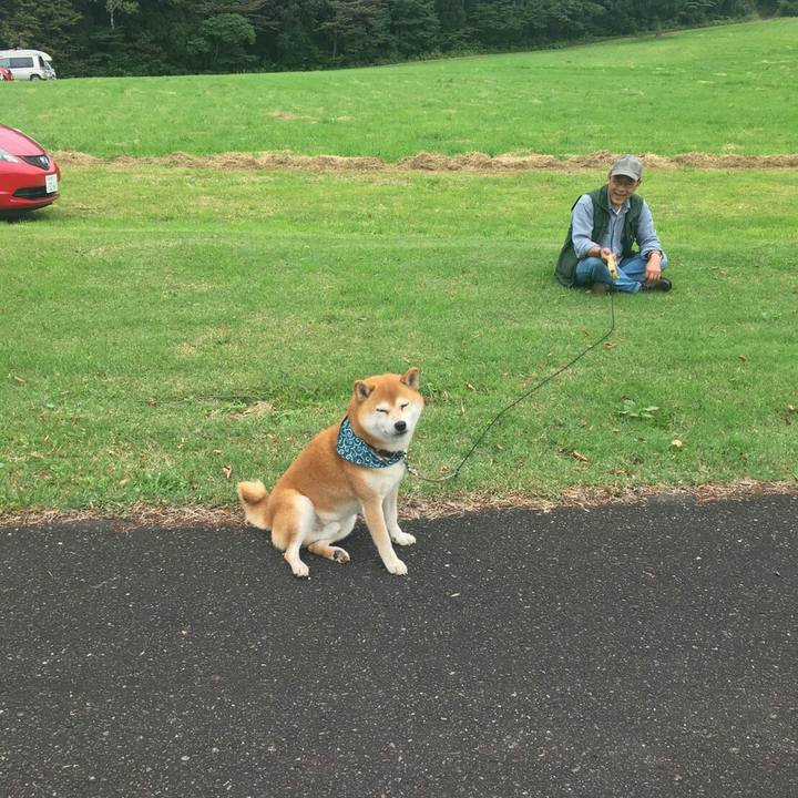 7f1fd914 bb53 48ce acd1 253c11807e2f