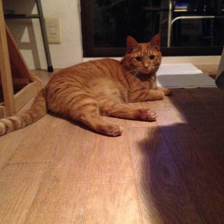 7f200186 c41d 4911 a237 6961c913997e