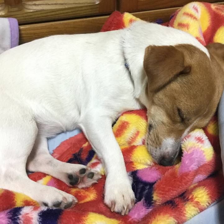 7f201cf2 acf8 45e9 ab7b 3e9005568fe7