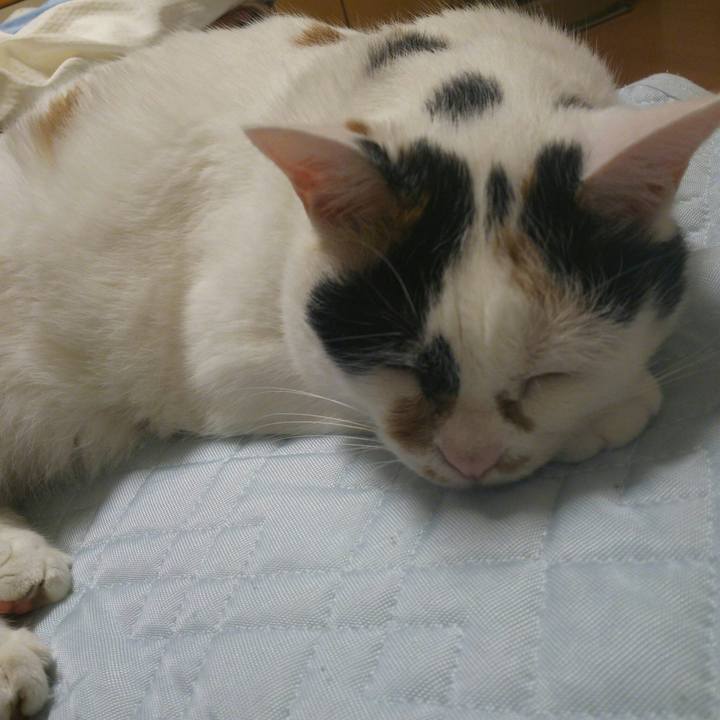 7f208dd3 bb08 4140 898b 559857c661f9