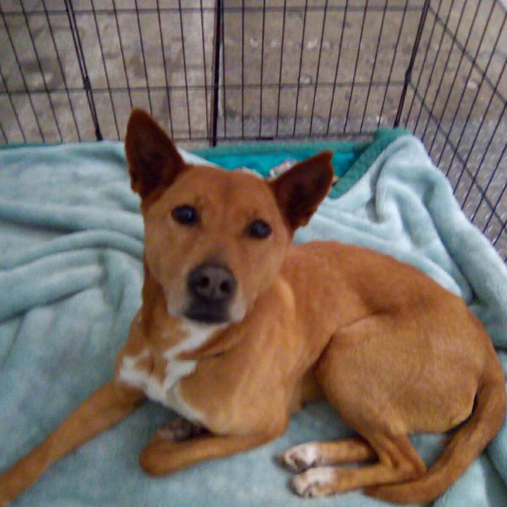 7f209061 3770 4513 99d2 f8a3fe7101a6