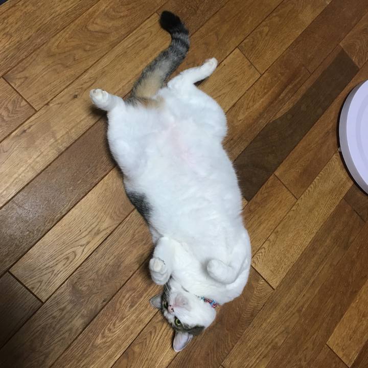 7f20a304 c893 4d54 ab19 9cb413396b06