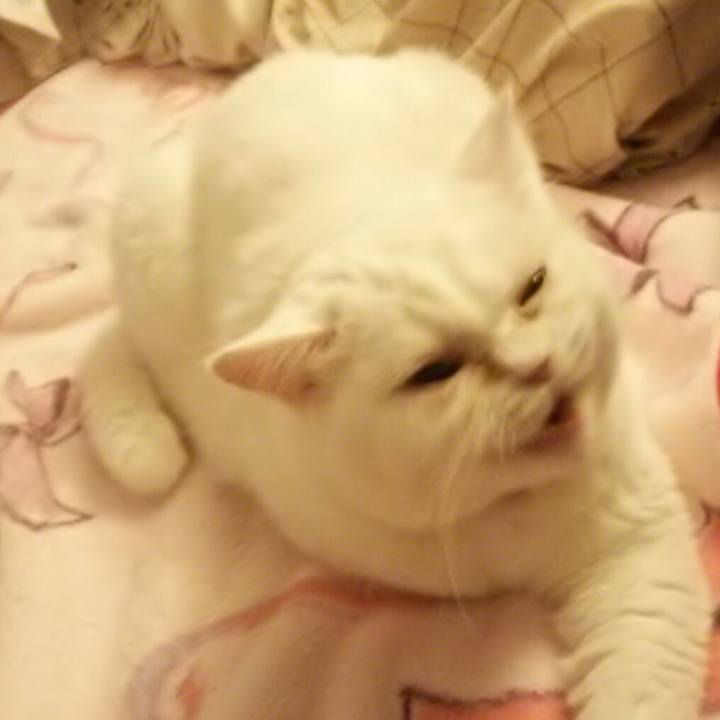 7f212bfb 37a3 4768 beb7 585ffcc424e7