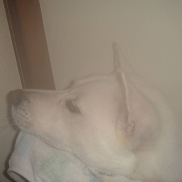 7f216bdc 17d0 4e41 9ca0 e5c9a1ad20a4