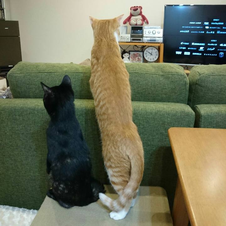 7f21d9cc 8edb 4c84 9692 c72902974421