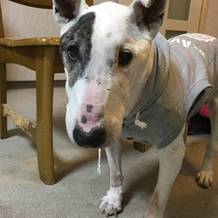 7f22d0e2 dd6c 49dc 87d3 9f0c9516e314