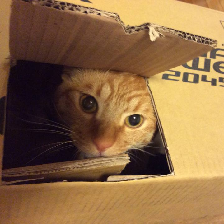 7f231ca3 b9ce 4bf0 9119 f62497ac1cda