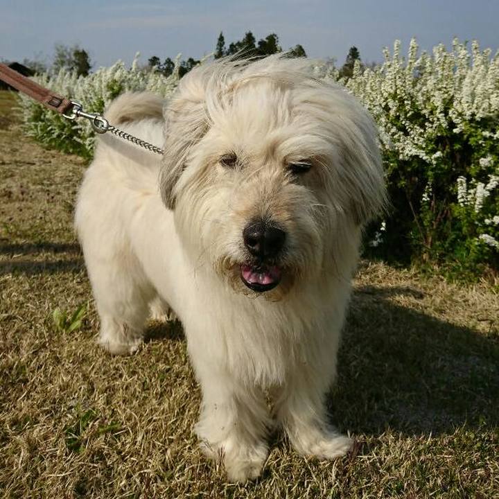 7f235d9e 66b7 4b85 851e 42e70d581691