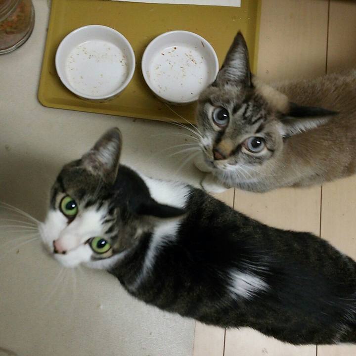 7f23ab65 1a3f 47fd b63d e45de3b51f1f