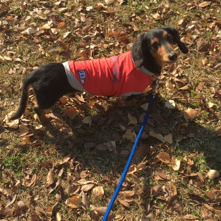 7f2495f8 6e76 471e aca8 9c351fce5e2f