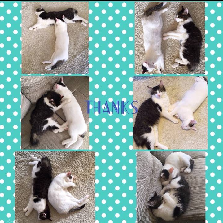 7f24f83f 7af9 424b a788 e49a7de0da13