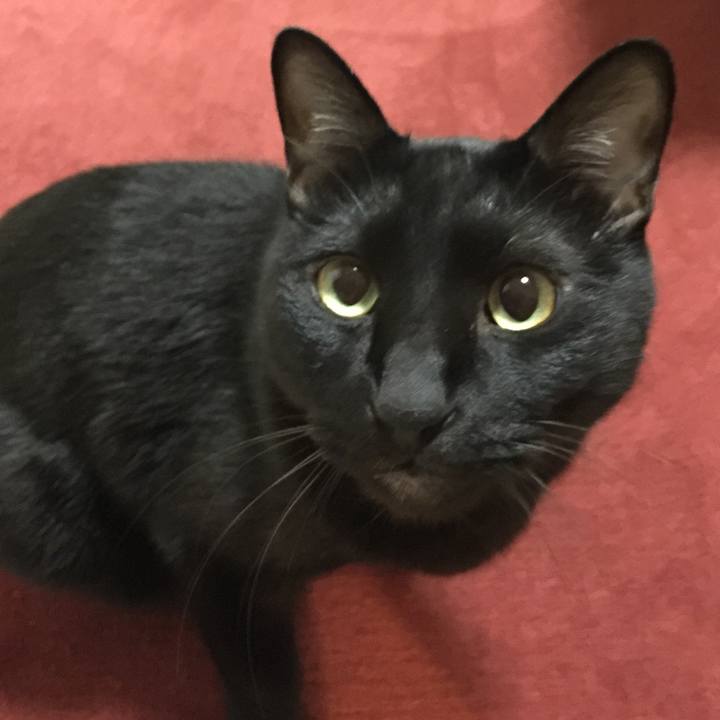 7f2540a8 ee11 4278 9e31 9ec5d894314f