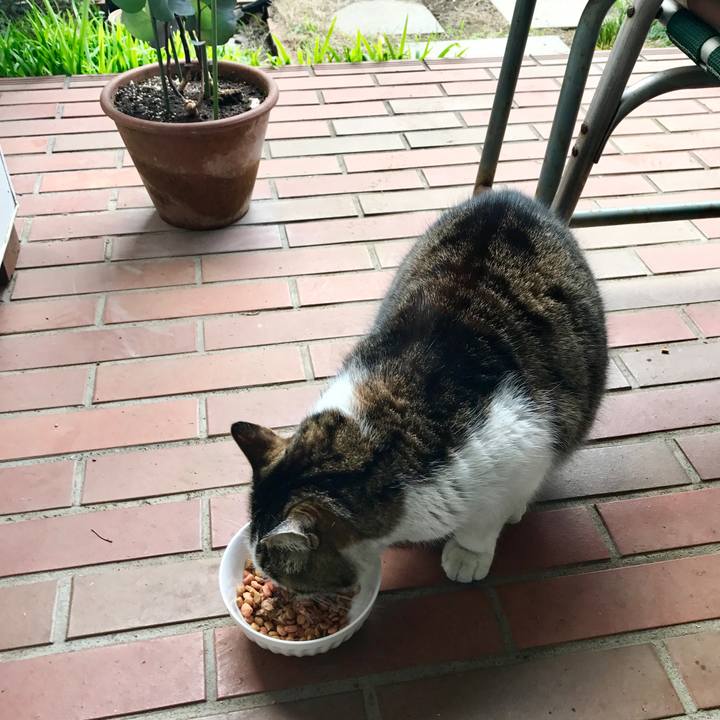 7f256326 5bfe 48ef a86d 5eee9a6c0538