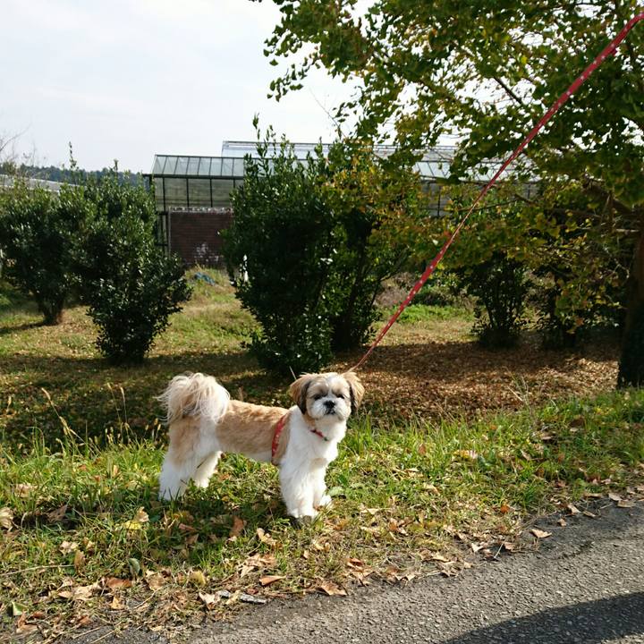 7f25964a 5c93 4f51 8558 7da5cd2c4c50