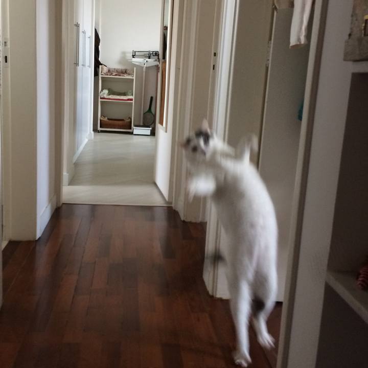 7f25d1d7 27c4 490e b12a 9a72b09e26de