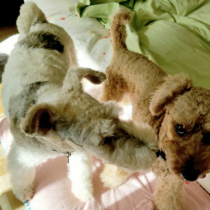 7f26346e 2695 4ec0 b1f7 b93b6c85e0e0