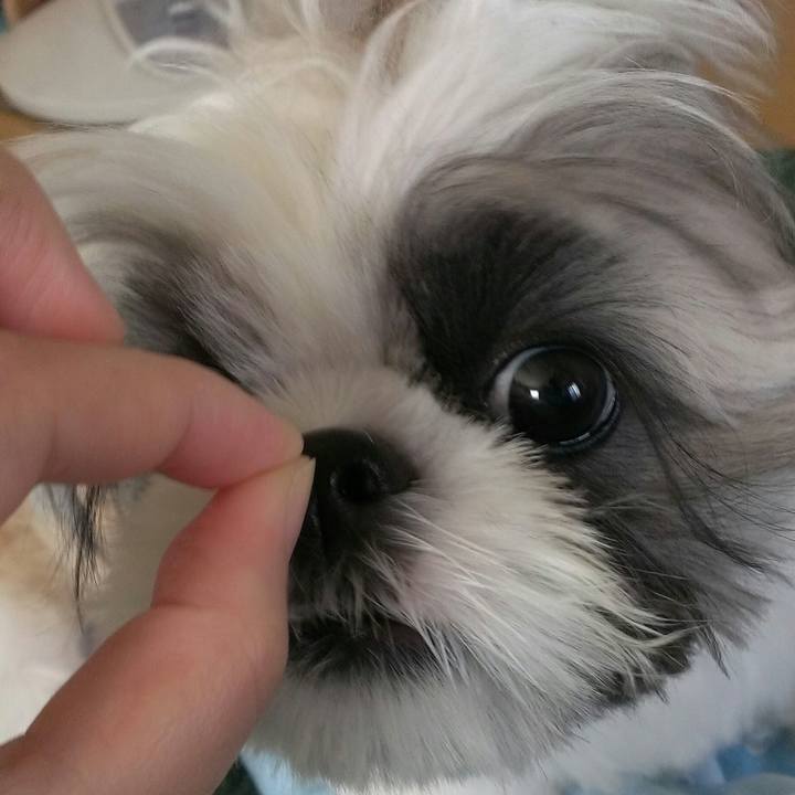 7f2640a2 4629 4dbd 91ef 01979e6b1395