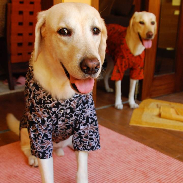 7f271708 37c2 4a5e 8da7 2e435c58cbcd