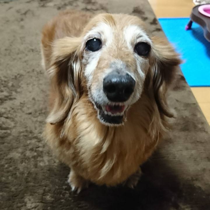 7f271d22 dbb5 490a 97f8 5aef6d86c1fb