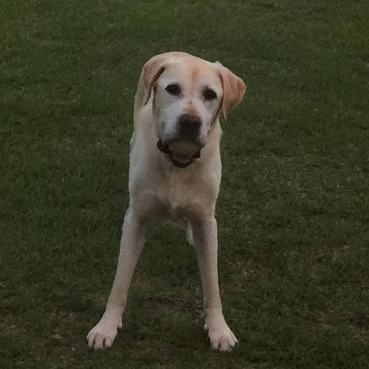 7f275f4d 5c12 4c66 9c45 81a3b33a6a0a