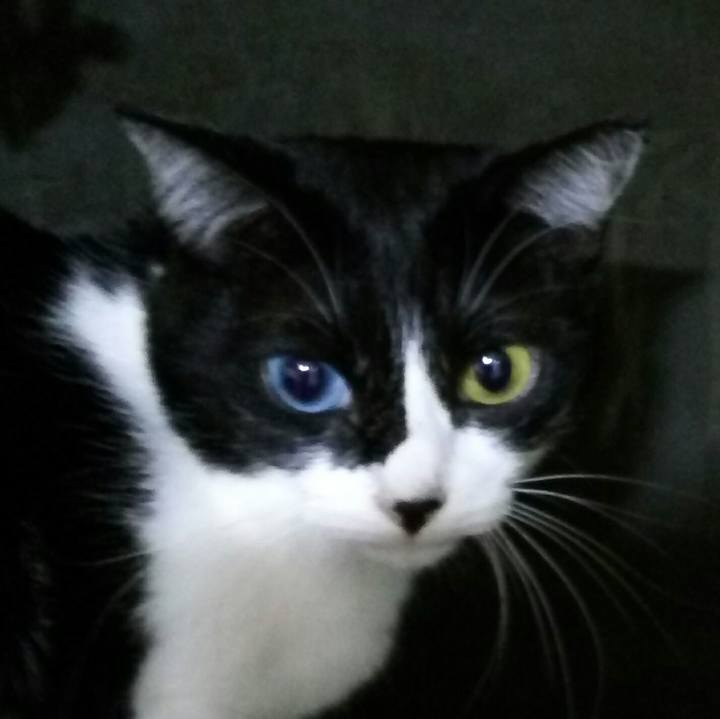 7f2802c8 61c5 4063 8606 7b132743fde9