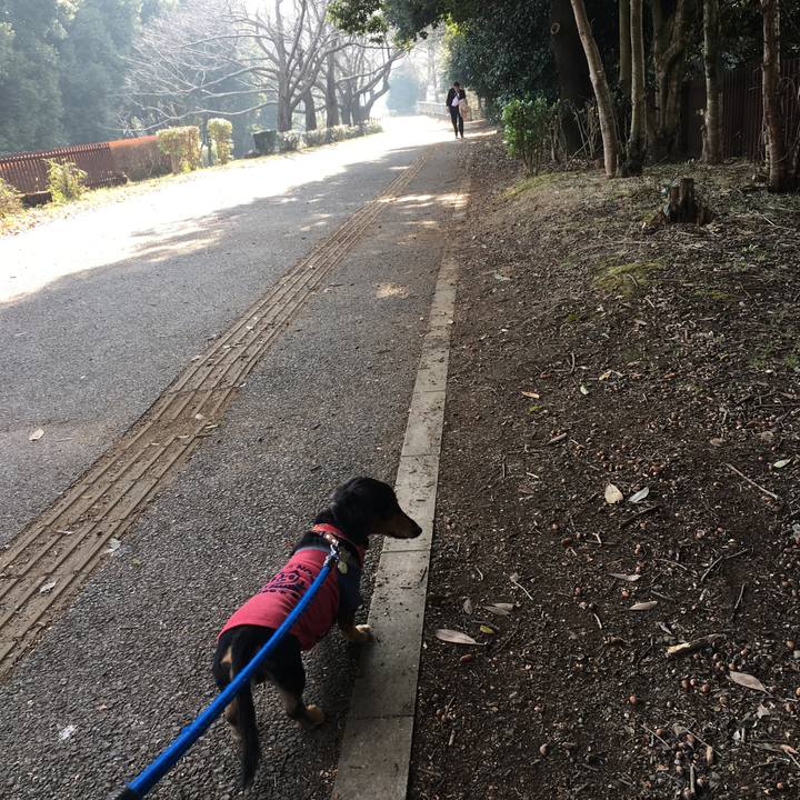 7f28ba32 3e86 4d4a 8d14 b4aec320c0f4