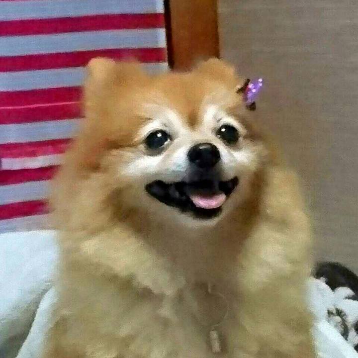 7f295084 5b99 4858 b3ae e6ec1847ff01