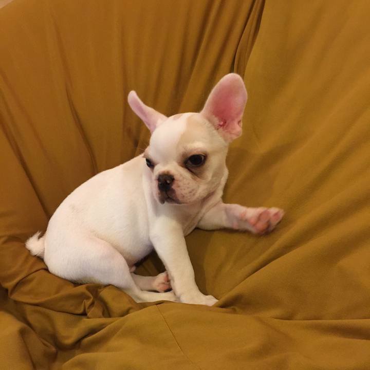 7f296c7a 1465 49f3 a4df a2d7e982f66a