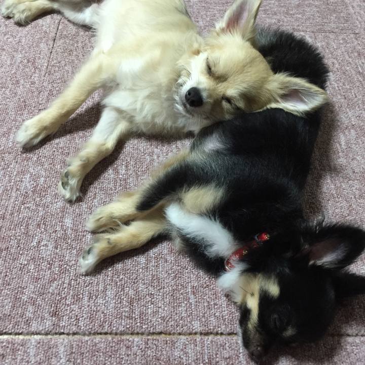 7f299f74 fb8c 4d57 9cb1 df9213a25bfe