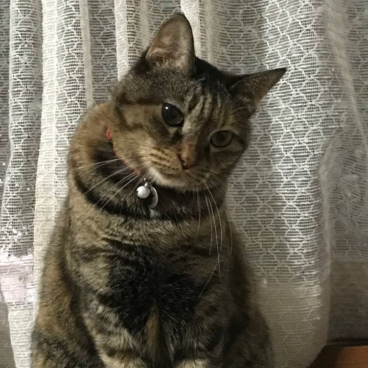 7f2a98e6 1403 411c b79c 1dafd22b599c