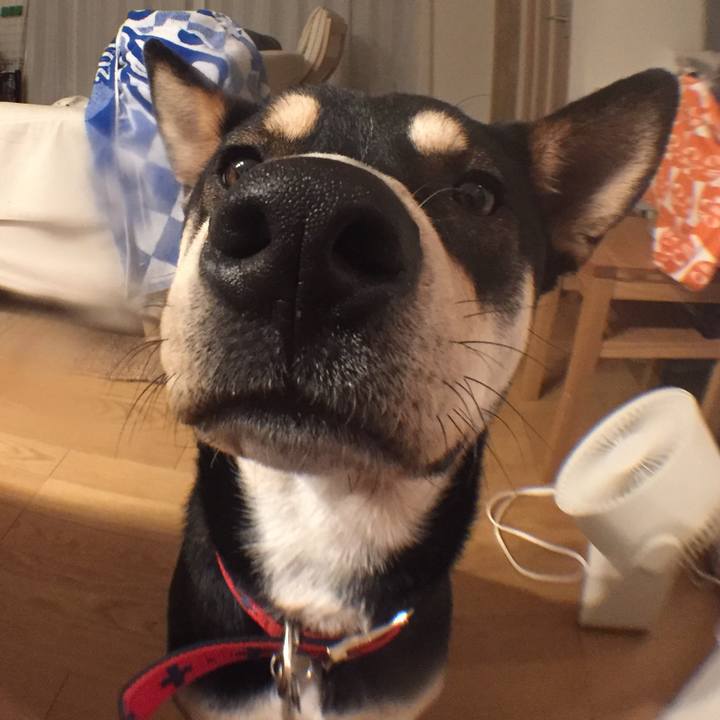 7f2b5870 3bbb 48c6 a8a1 84858c541373